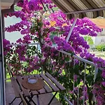With Parking Space Trpanj, Peljesac - 257 Apartament